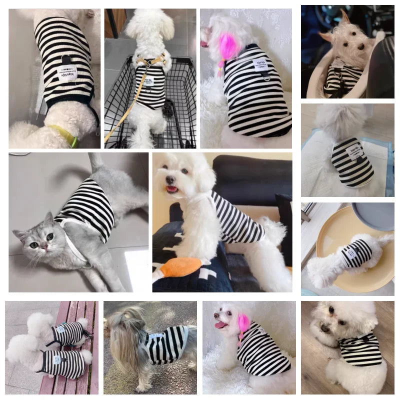 Dog Vest Summer Puppy Clothes Striped Dog Clothing Cotton Suspenders Dog Apparel Chihuahua French Bulldog Girls Dog Costume