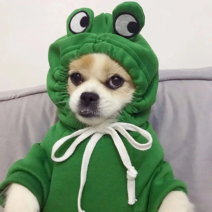 Cute Frog Pet Sweater Puppy Hoodie Pet Clothes Clothes for a Dog Jumper Apparels Dogs Accessories Clothing Dog´s Suit Outfit